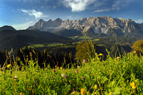 © Höflehner