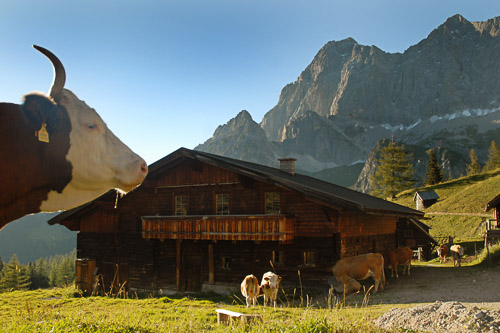 © Höflehner